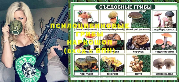 гидропоника Богданович