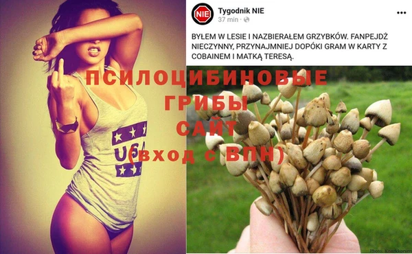 гидропоника Богданович