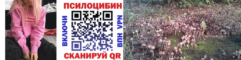 Псилоцибиновые грибы Psilocybine cubensis  Купить закладки  Константиновск 